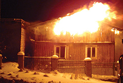 Flamex FRX-10/65